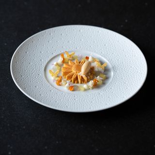 NOVO New Dining - 6