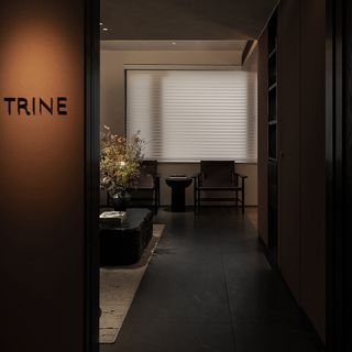 Trine - 1
