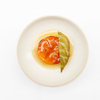 Datil - 4