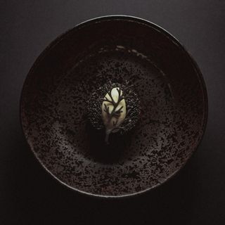Tuna - 5