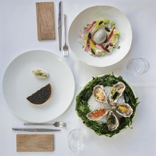 Petrossian - 11