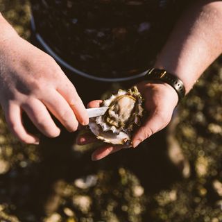 Fanny Bay Oyster Bar - 1