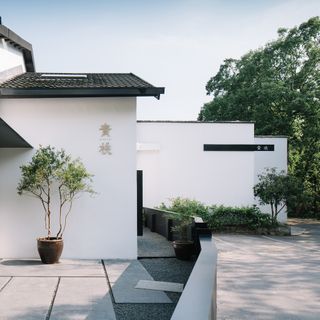 Qing Tao - 26