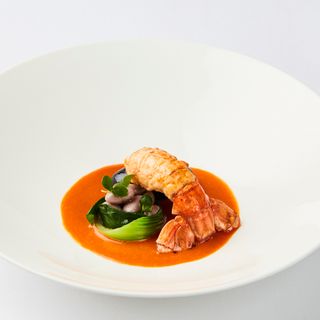 Cord by Le Cordon Bleu - 16