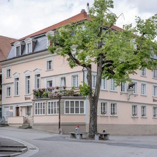 Bären - 2