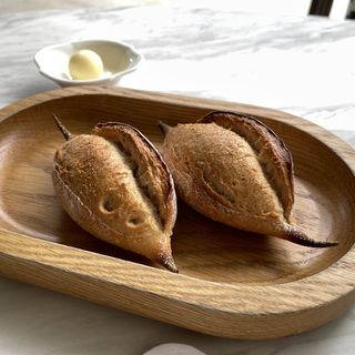 Palmier - 2