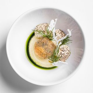 TU.REStAURANT - 14