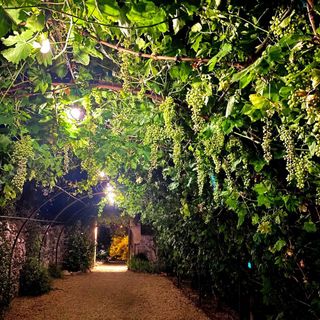 Jardin Secret - 10