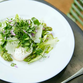 Petersham Nurseries Restaurant - 2