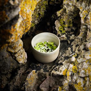 L'Enclume - 7