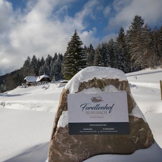 Forellenhof - 2