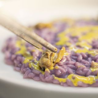 Hostaria del Vicolo - 7