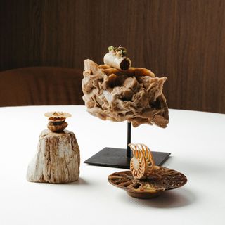 Wild Atelier - 12