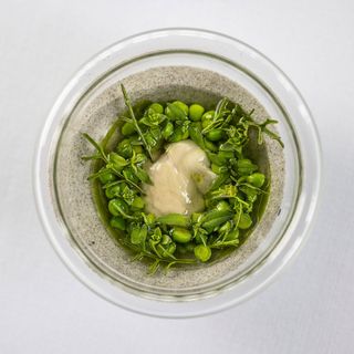 Molskroen - 2