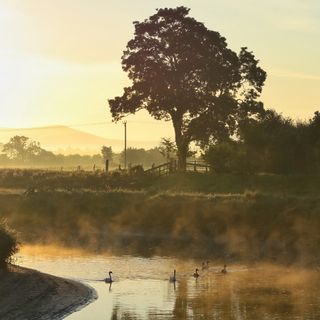 Cartford Inn - 7