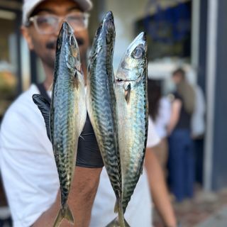 Little Fish - 1