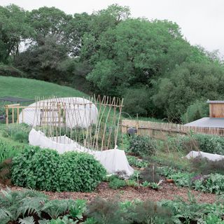Glebe House - 5