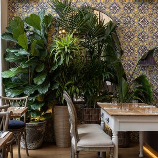 Alba Restaurant - 1