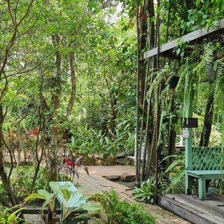 Suan Thip - 6