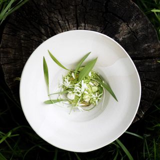 Frédéric Molina à Forêt Ivre - 7