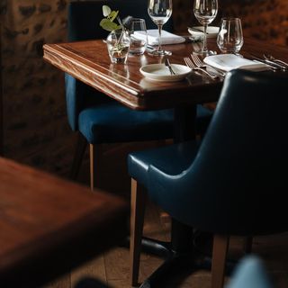 The Ingham Swan - 8