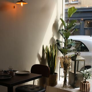 One Fish Street - 6