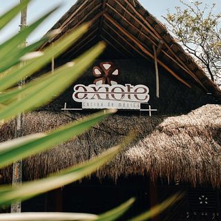 Axiote Cocina de Mexico - 5