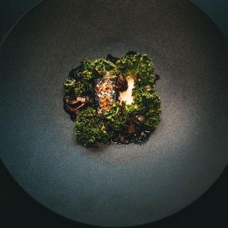 Natura - 12