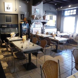 Olijfboom - Veurne - 0
