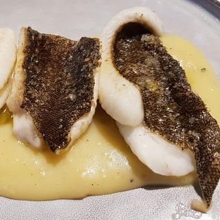 Carballeira - 20