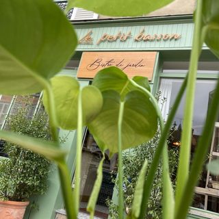 Le Petit Basson - 1