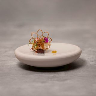 Lyla - 14