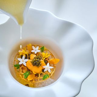 Potager - 5