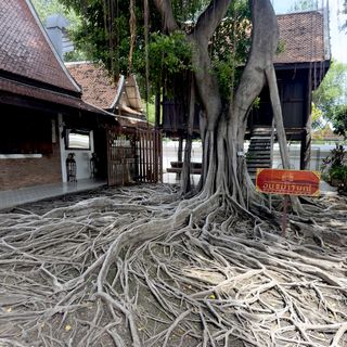 Ayutthayarom - 1