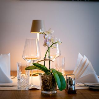 Löwen Gourmet - 5