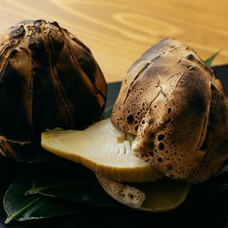 KOTARO Hasegawa DOWNTOWN CUISINE - 4