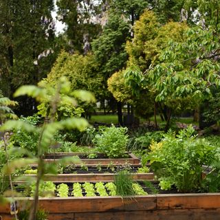 Warsztat - Food & Garden - 4