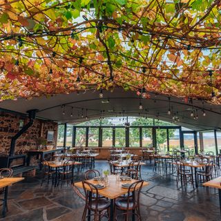 Coriole Vineyards - 2