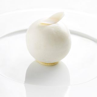 Silene - 2