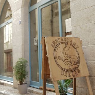 Oxalis - Périgueux - 1