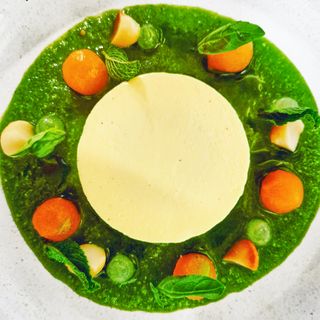 Thyme - 6
