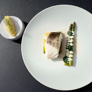 Biestro H-eat - 7