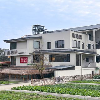 Xiao Bai Cai - 3