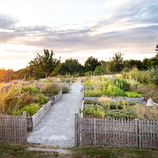 Les Jardins Sauvages - La Grée des Landes - 5