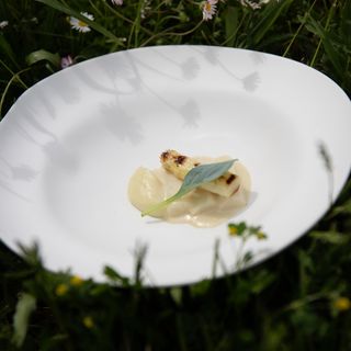 Lavedán - 18