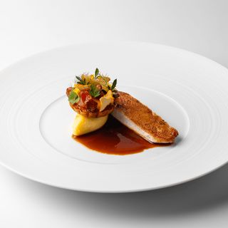 Bellini - 5