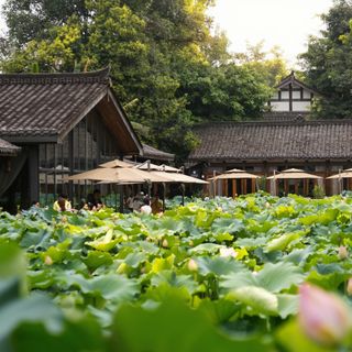 Xue Tao · In the Yard - 2