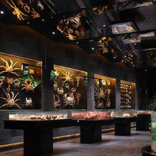 Xing Wang Seafood · Rongting Hui (Siming) - 3