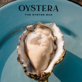 Oystera - 6