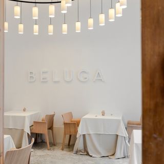 Beluga - 6
